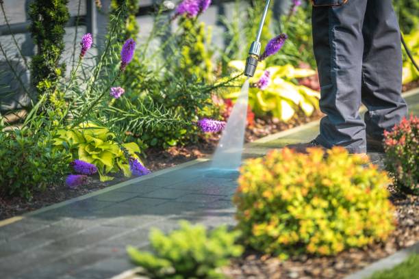 Best Pre-Holiday Cleaning  in East Rochester, NY