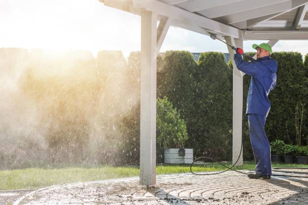 Best Building Exterior Washing  in East Rochester, NY