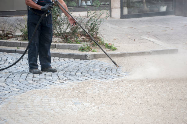Animal Enclosure Cleaning in East Rochester, NY